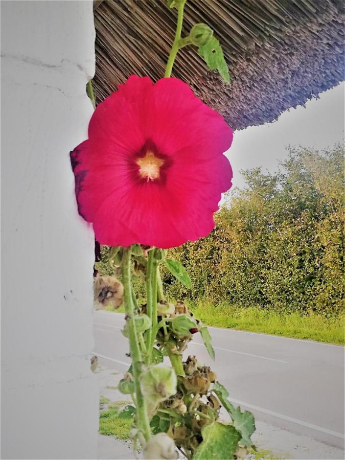 The Whispering Apple Garden Retreat Morud Exterior photo